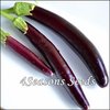 Eggplant - Italian Long Purple