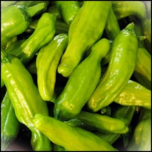 Chilli Friggitello Pepperoncini 4seasons Seeds