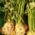 Celeriac