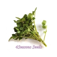 Cress - Watercress