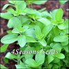 Sweet Marjoram