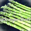 Asparagus - Mary Washington