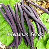 Bush Beans - Royal Burgundy