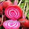 Beetroot - Chioggia