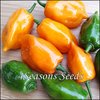 Chilli - Habanero Orange