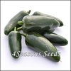 Chilli - Jalapeno Early