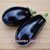 Eggplant - Black Beauty