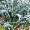 Cavolo Nero (Tuscan Kale)