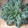 Kale - Dwarf Blue Curled