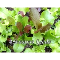 Lettuce Gourmet Mix