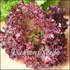 Lettuce - Lolla Rossa