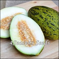 Melon - Piel De Sapo