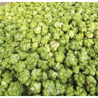 Mustard - Stem Mustard