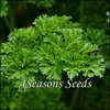 Italian Parsley - Triple Curl