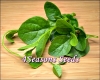 Ceylon Spinach - Green Stem (Malabar Spinach)