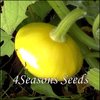 Summer Squash - Yellow Bush Scallop