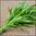 Water Spinach (Ong choy) - Bamboo Leaf