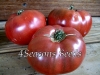 Tomato - Cherokee Purple