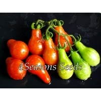 Cherry Tomato - Red Pear