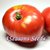 Tomato - Italian Tree Tomato