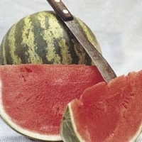 Watermelon - Crimson Sweet (Warpaint)
