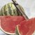 Watermelon - Crimson Sweet (Warpaint)