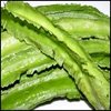 Climbing Bean - Winged Bean