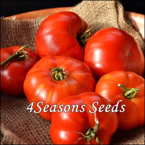 Tomato Seeds - Beefsteak (Determinate)