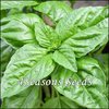 Basil - Lettuce Leaf