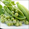 Shelling Pea (Bush) - Greenfeast