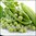 Shelling Pea (Bush) - Greenfeast