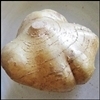 Yam Bean (Jicama)