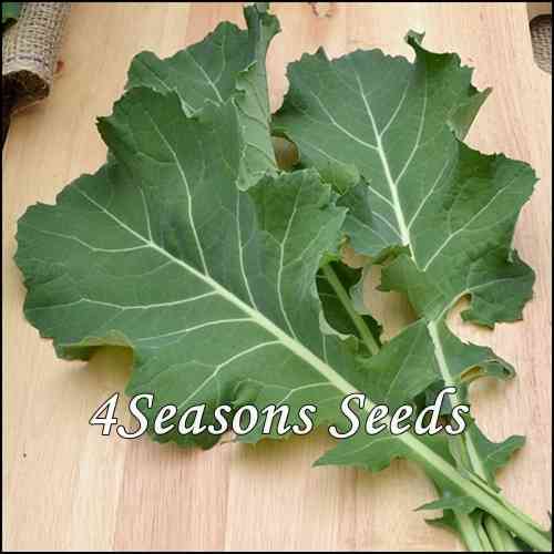 Collards - Georgia Southern