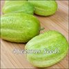 Cucumber - Richmond Green Apple