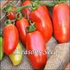 Tomato - San Marzano (Bush)