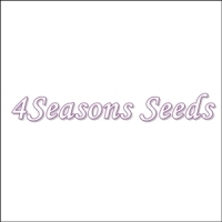 Carrot - All Seasons