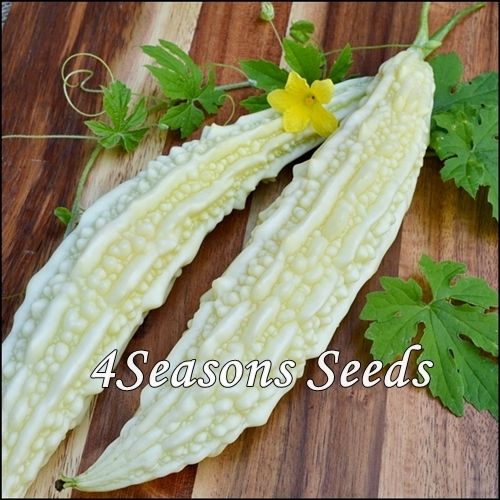 Bitter Melon White 4seasons Seeds