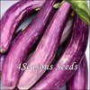 Eggplant - Amethyst