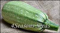 zucchini_-_magda_f1_15-3-13-035_art_200.JPG