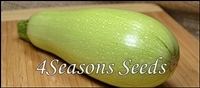 zucchini_greyzini_065-100p.JPG